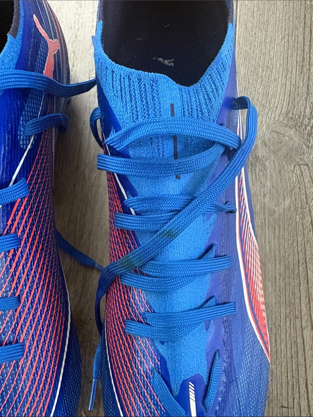 Puma great high